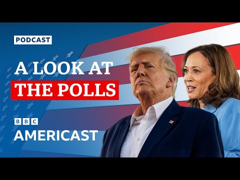 Is Kamala Harris beating Donald Trump in the US election polls? | BBC Americast