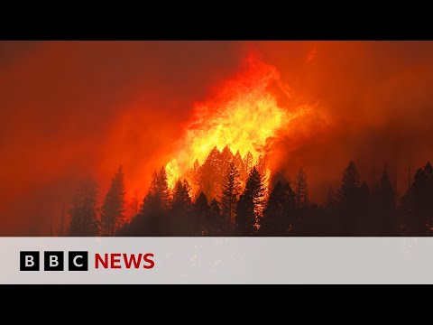 Man in court accused of starting historic California wildfire | BBC News