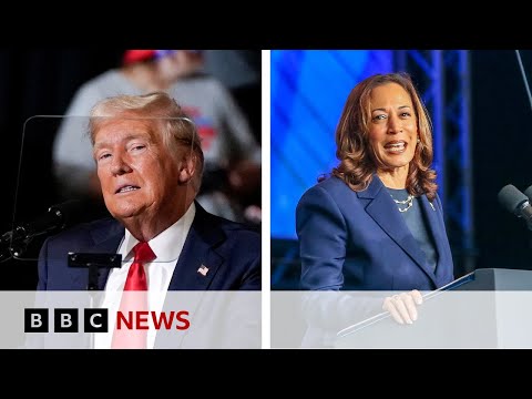 Donald Trump agrees to Fox News plan for debate with Kamala Harris | BBC News