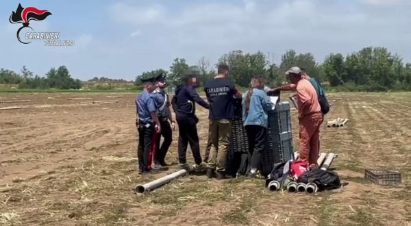 Controlli anti Caporalato, trovate irregolari il 53% delle aziende