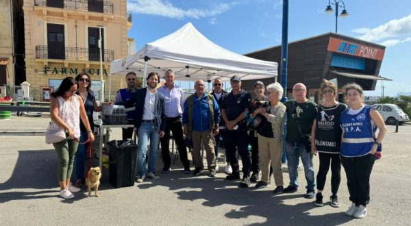 Palermo, Ferrandelli “Successo per nuova registrazione anagrafe canina”