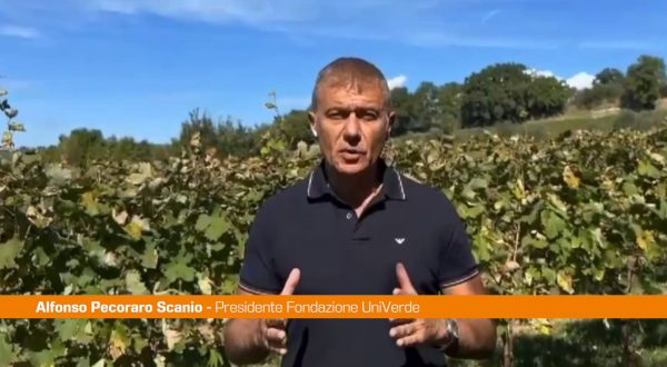 Clima, Pecoraro Scanio “Aiutare agricoltura e turismo a vincere sfida”