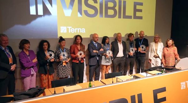 Terna proclama i cinque vincitori del Premio Driving Energy 2024