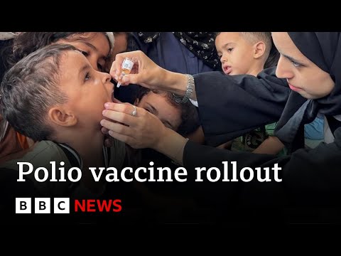 Pause in fighting holds as Gaza children get polio vaccine | BBC News