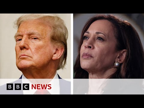 US election: Is Trump or Harris leading in the polls? | BBC News