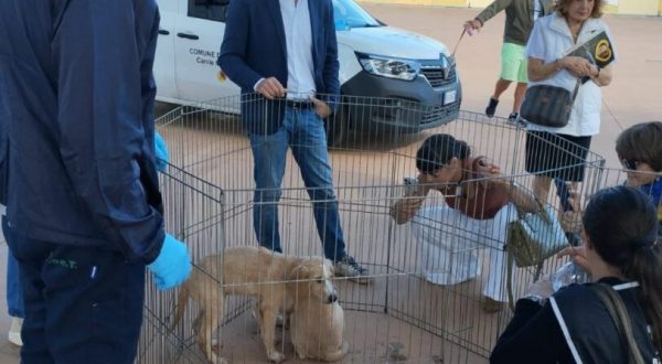 Palermo, Ferrandelli “Sold out di microchip oggi al centro Conca d’Oro”