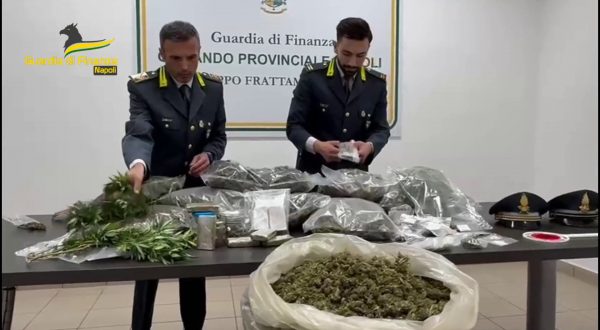 Sequestrata a Benevento piantagione canapa indiana e 50 kg marijuana