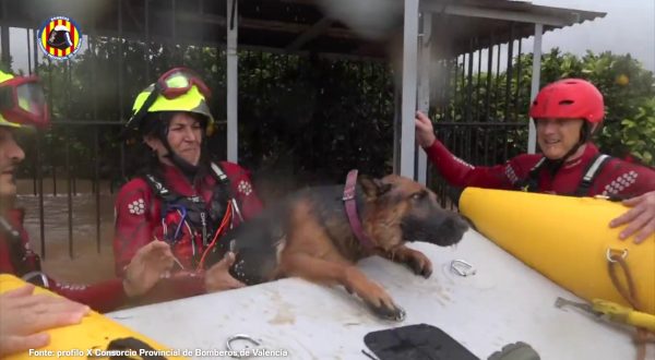 Alluvione a Valencia, il salvataggio di una coppia con due cani