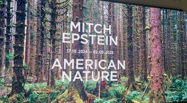 Intesa Sanpaolo, a Torino la mostra “Mitch Epstein. American Nature”