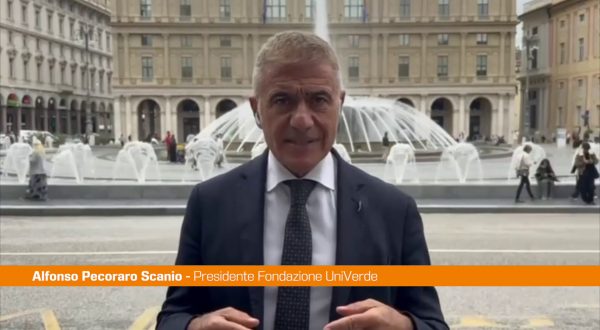 Pecoraro Scanio “Favorire gli investimenti in startup e innovazione”