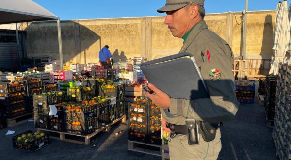 Sequestri al mercato di Siracusa, Schifani “Tuteliamo il made in Sicily”