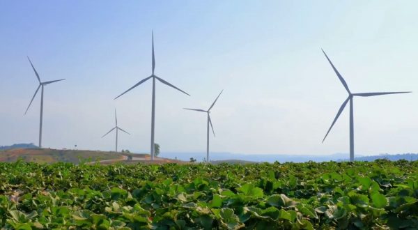 Nasce il Consiglio europeo per l’agricoltura e l’alimentazione