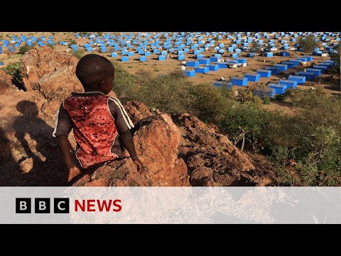 People in Darfur used ‘as pawns in Sudan civil war’, says UN | BBC News