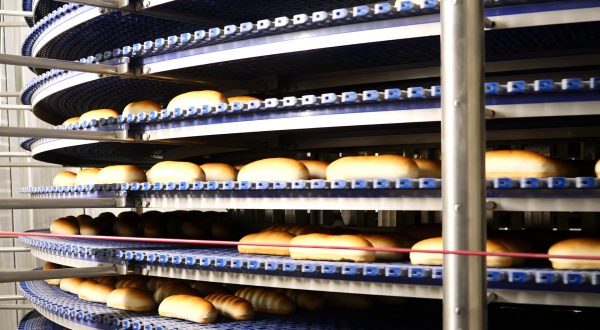 Formazione continua per un pane di qualità, un esempio dalla Sicilia