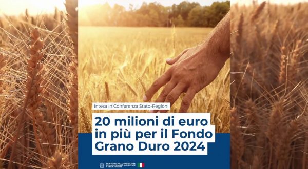 20 milioni in più per il Fondo Grano Duro